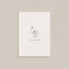 Afbeelding in Gallery-weergave laden, Geboorte brownies per post