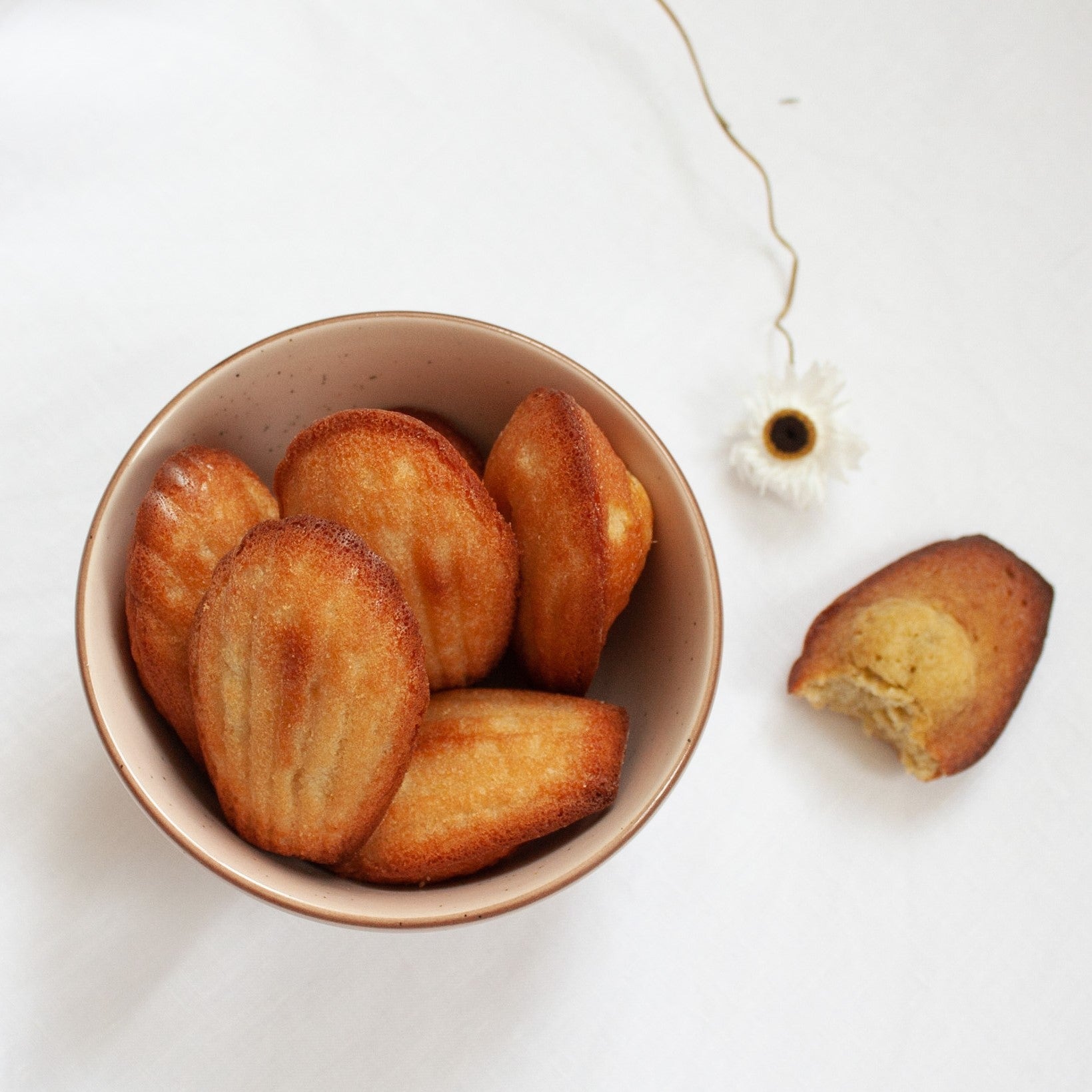 Madeleines – Pâtisserie Julie